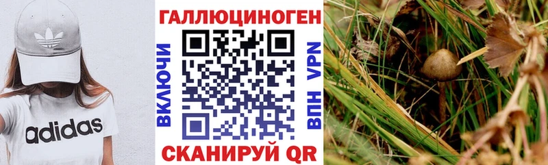 Псилоцибиновые грибы прущие грибы  Котово 